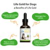 Pet Wellbeing Life Gold for Dogs - Vet-Formulated - Immune Support and Antioxidant Protection - Natural Herbal Supplement 2 oz (59 ml)