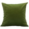 TangDepot Solid Velvet Throw Pillow Cover/Euro Sham/Cushion Sham, Super Luxury Soft Pillow Cases, Many Color & Size Options - (24"x24", Kiwi)