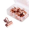 Yalis Push Pins Clips 15-Count, Pinning No Holes for Paper, Creative Paper Clips with Tack for Cork Board and Photo Wall (Rose Gold)