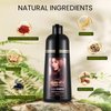 JINGDAIBURY Instant Chestnut Brown Hair Dye Shampoo 3 in 1, Argan Oil Gray Reducing Hair Dye Colors, Brown Hair Dye, Hair Color Shampoo for Men Women, Natural Plant Hair Dye Shampoo 500ml Maroon