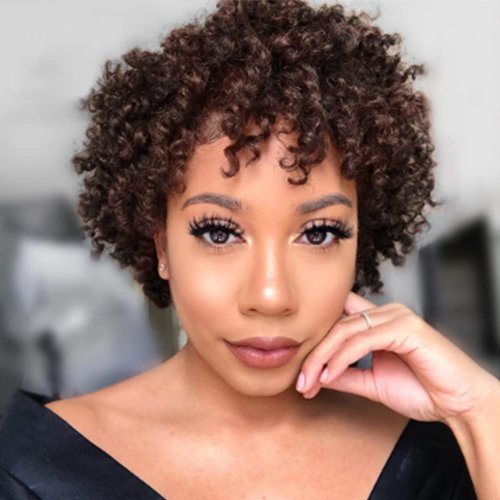 ZHENLISI Dark Brown Color Afro Kinky Curly Short Curly Human Hair Wigs Brazilian Virgin Hair Wigs for Black Women(2#)