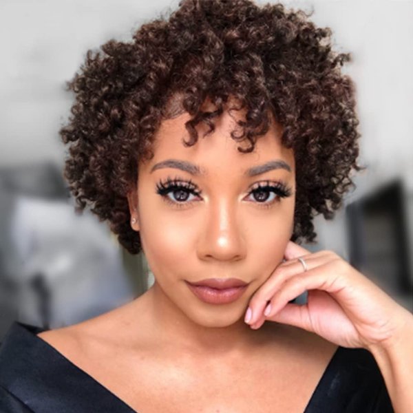 ZHENLISI Dark Brown Color Afro Kinky Curly Short Curly Human Hair Wigs Brazilian Virgin Hair Wigs for Black Women(2#)