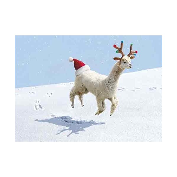 Avanti 10-Count Humorous Christmas Cards with Envelopes, Alpaca Wearing Reindeer Antlers