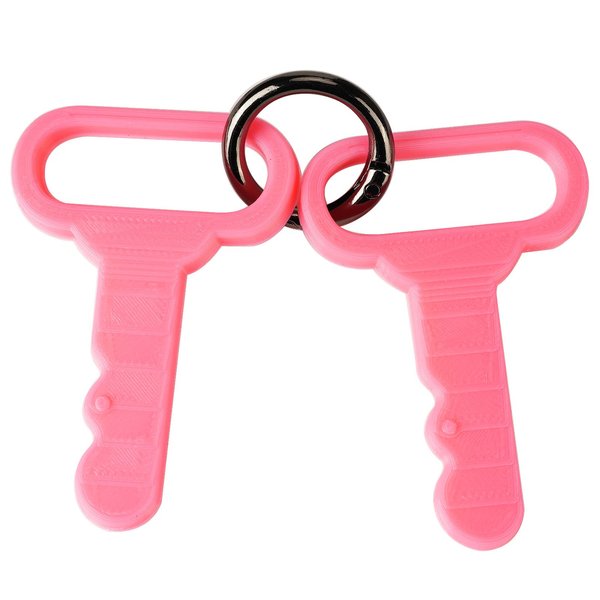 LUAATT Replacement Key for Little Tikes Cozy Coupe,2 Pack Toy Truck Car Personalized Key,Gift Key to Kids(Pink)