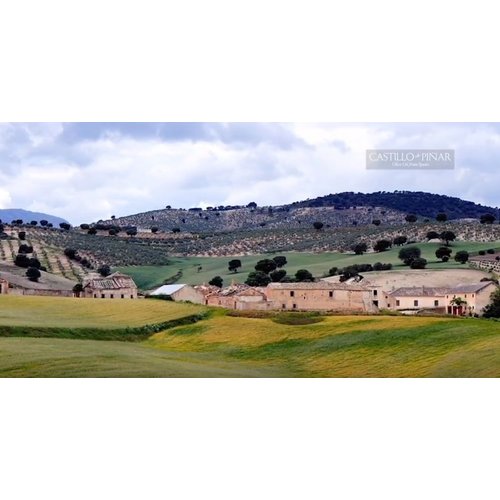 Castillo de Piñar 12.35 oz Fritada de Tomate Casera - Mild Kick Sauce All Natural & Farm Fresh Vegetables 1 Pack Non GMO