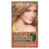 Clairol Natural Instincts, 9 / 2 Sahara Light Blonde, Semi-Permanent Hair Color, 1 Kit