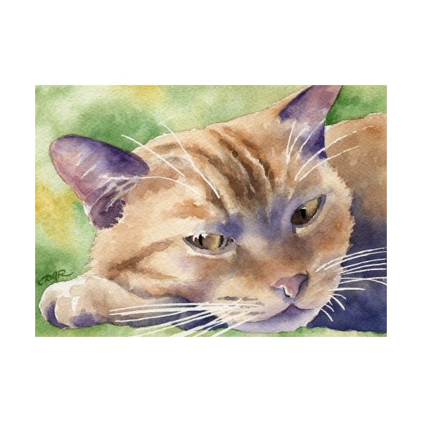 Tabby Cat Cat Art Print by Watercolor Artist DJ Rogers