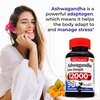 FITO MEDIC'S Lab | Ashwagandha | ashwagandha Supplements | ashwagandha Capsules | 90 Capsules
