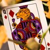 Animal Kingdom Playing Cards by Theory11
