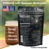 Ohm Mushroom Cacao Powder w. Lions Mane, Chaga, Reishi, Cordyceps, Turkey Tail | Organic Nootropic Instant Coffee Alternative for Energy + Focus + Immunity | 2000mg / Dose
