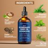 Nexon Botanics Mint Rosemary Hair Oil 4 fl oz - Hair Treatment Oil - Argan, Castor, Tea Tree - Hair Growth Oil for Damaged Hair, Curly Hair, Frizzy Hair, Dry Scalp - Men and Women