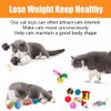 21 Pcs Cat Toys for Indoor Cats Collapsible Cat Tunnel Interactive Feather Teaser Wand Ball Toy for Kitten Cats