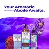 Zum Indigo Wild Hand & Body Lotion - Natural Hand Lotion for Dry Hands - Body Lotion for Women & Men - Body Moisturizers Include Shea Butter, Jojoba Oil & More - Almond Scent - 6 fl oz (2 Pack)