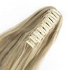 Qunlinta Ponytail Extension Hair Extensions Ponytail 18" 20" Claw Curly Wavy Ponytail Extension Straight Clip in Ponytail Extension Synthetic Hairpiece Ash Blonde