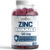 Zinc Gummies - 50mg High Immune Booster Zinc Supplement, Immune Defense, Powerful Natural Antioxidant, Non-GMO - by New Age (60 Count (Pack of 1))