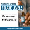 L Methyl Folate 15mg Plus Methyl B12 Cofactor – Organic Berry Flavor, High Potency Liquid Sublingual Active 5-MTHF Form - Supports Mood, Methylation, Cognition – Bioactive Forms Vitamin B9 & B12 (1oz)