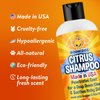 Bodhi Dog New Refreshing Orange Citrus Dog Shampoo | Deep Cleaning Formula with Coconut and Aloe Vera | Natural Soothing & Moisturizing Pet Dog Puppy and Cat Wash (17 Fl Oz)