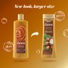 Caress Body Wash For Gorgeous, Radiant Skin Shea Butter & Brown Sugar Hydrating and Exfoliating Body Wash 20 fl oz