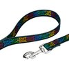 Country Brook Petz - Premium Celtic Pride Dog Collar and Leash - Irish Pride Collection with 2 Lucky Designs (1 Inch, Medium)