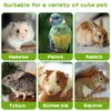 HGPOKLVT Hamster Snacks, Birds Treats, Hamster Chew Toys, Hamster Toy, Grinding Toy for Guinea Pig, Chinchilla, Hamster, Birds and Other Small Animals