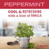 Mrs. Meyer's Multi-Surface Cleaner, Peppermint, 16 OZ (Pack of 1)