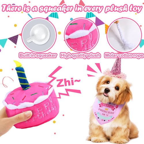 DoreenBow 5 Pack Dog Birthday Toys for Small Dogs Birthday Cake Squeaky Dog Toy Chew Toys Puppy Teething Toys Plush Birthday Box Gift for Dogs