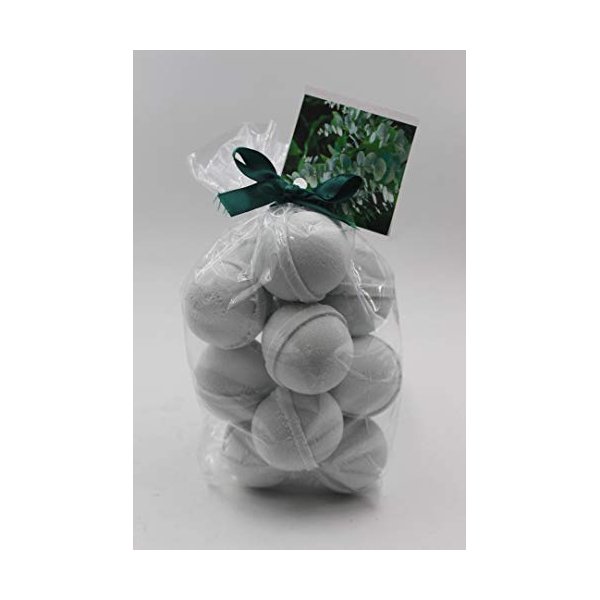 Spa Pure EUCALYPTUS & SPEARMINT - 14 Bath Bomb Fizzies - 14 per bag - USA MADE, SHEA, MANGO AND COCOA BUTTER, Ultra Moisturizing - Great for Dry Skin