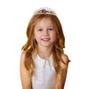 10th Birthday Sash and Tiara Set Rose Gold Birthday Sash Crown Birthday Party Favors Supplies for Girls Birthday Party