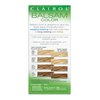 Clairol Balsam Permanent Hair Dye, 600 Palest Blonde Hair Color, 3 Count