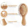Pack of 2 Bamboo Hair Brushes, 100% Natural Eco-friendly Hair Brush with Bamboo Bristles, Massages Scalp Anti-Static Hair Detangle for All Types, Lightweight(MINI)
