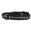 Dogs My Love Rhinestone Genuine Leather Dog Collar (Black, 11"-13.5" Neck)