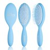 IZUTECH Pro Bunni Soft Wet/Dry Detangling Hair Round Paddle Brush for Women with Air Cushion (Blue)