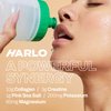 Harlo - Grapefruit Salt Electrolyte Drink Mix w/Bovine Collagen & Creatine - Creatine Monohydrate Powder - Energy Drink Powder - Pre Workout Powder - Sugar Free Energy Drinks - Post Workout Recovery
