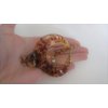 Generic Acrylic clear brown splatter paint alligator hair comb clip for medium thick, 7