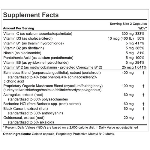 Andrew Lessman Immune Factors 180 Capsules – Echinacea, Goldenseal, Vitamin C, Astragalus, Berberine, Mushroom Blend, Black Currant. Supports and Promotes Immune System and Natural Defenses