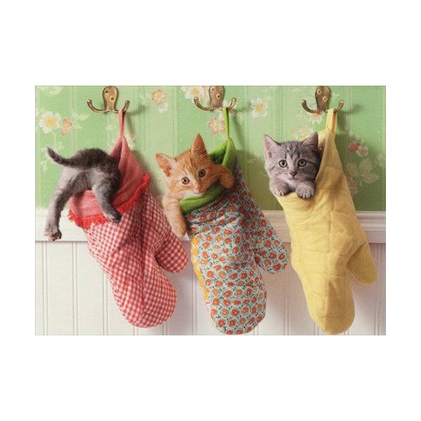 Kittens In Oven Mitts - Avanti Funny Cat Mother's Day Card