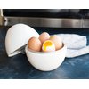 Nordic Ware Kitchen & Dining Microwave Egg Boiler, 4 Capacity, White