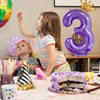 Purple 3 Balloon 40 Inch,Giant Number 3 Balloon & Mini Crown Balloon Set for Girl Boy 3rd Birthday Party Decorations,Purple Birthday Party Decorations Supplies Birthday Digital Balloon