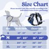 rabbitgoo Dog Harness Medium Sized, No Pull Pet Harness with 3 Buckles, Adjustable Soft Padded Dog Vest with Instant Control Handle, Easy Walking Reflective Pet Vest for Medium Dogs, Blue, M