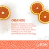 E2H Energy Bath Bomb - Orange Scent
