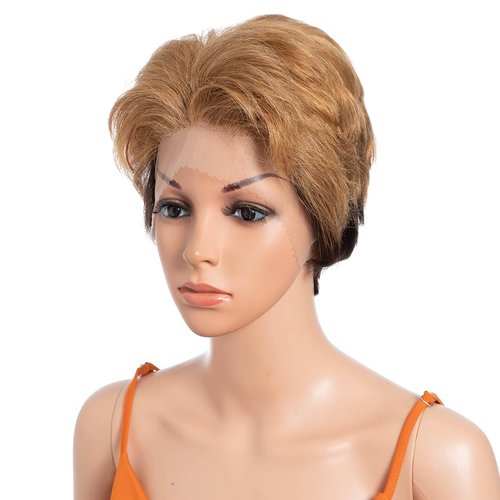 N BLE STAR 8 Inch Short Lace Front Wigs Human Hair 13X1 Short Wig 150% Density Human Hair Wigs Ombre Brown Short Wigs for Black Women Human Hair DYA 4/27-1#