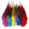Happy Feather 100PCS Saddle Hackle Rooster Feather for Crafts, 5-7 inch Natural Pheasant Neck Feathers DIY Pendant Earrings Dream Catcher-Multi Color