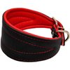 Real Leather Extra Wide Padded Tapered Dog Collar Glossy Black Greyhound Saluki Deerhound Lurcher Whippet Dachshund (13.25"-15.25" Neck; 2.5" Wide, Red)