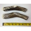 Antler Man® Premium Jumbo Deer Antler Pieces - Dog Chews - Sold by The Pound