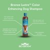 Bio-groom Bronze Lustre Dog Shampoo – Color Enhancing Pet Shampoo, Dog Bathing Supplies, Puppy Wash, Dog Grooming Supplies, Cruelty-Free, Made in USA, Coat Brightener Shampoo – 12 fl oz 1-Pack
