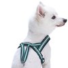Blueberry Pet 6 Colors Soft & Comfy Jacquard Padded Dog Harness, Chest Girth 21.5" - 27.5", Teal Blue, S/M, Reflective Adjustable Harnesses for Dogs