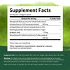 Swanson Pure Brainpower Brain Health Cognitive Memory Focus Support Brain-Derived Neurotrophic Factor (BDNF) Herbal Supplement (Ginkgo Biloba, Bacopa Monnieri) 60 Veggie Capsules (Veg Caps) Vegan