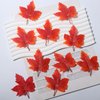 WRBAJIS Fall Hair Clips 10Pcs Maple Leaf Hair Barrettes Thanksgiving Hair Accessories for Women Girls Autumn Harvest Thanksgiving Party Supplies Orange Yellow