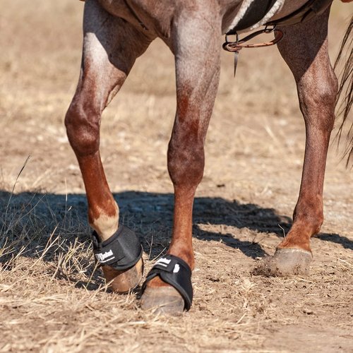 Cashel No Turn Bell Boots, Black, X-Small