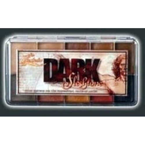 PPI Skin Illustrator Dark Fleshtone Makeup Palette Profession Stage Makeup